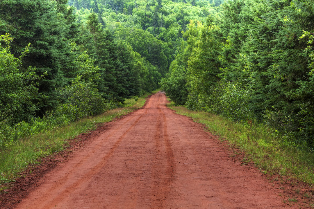 a dirt road